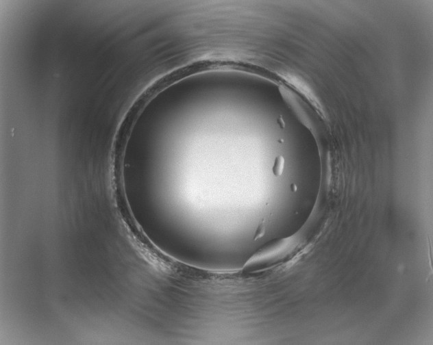 X0000071810976200606301222