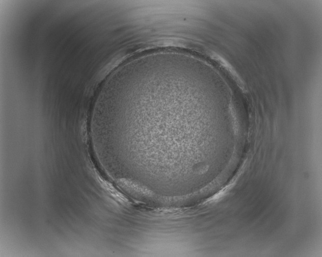 X0000071810977200606301222