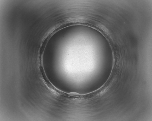 X0000071810978200606301222