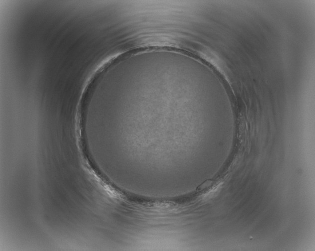 X0000071810979200606301222