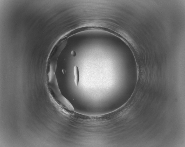 X0000071810980200606301222