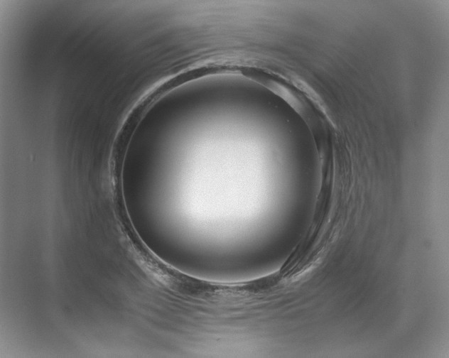 X0000071810981200606301222