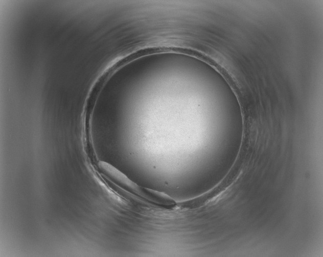 X0000071810982200606301222