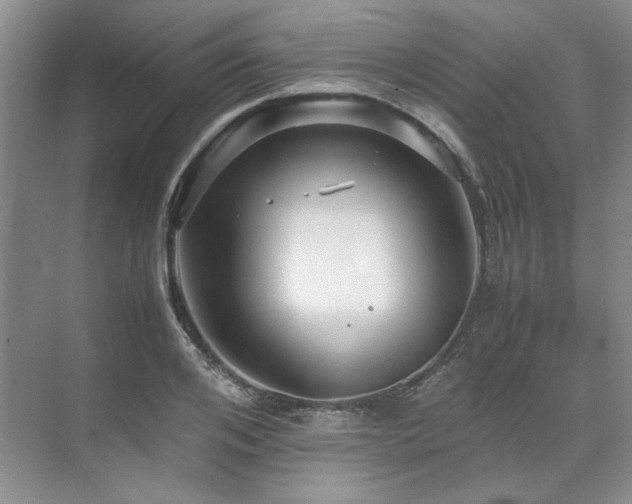 X0000071810984200606301222