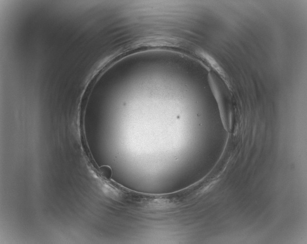 X0000071810986200606301222