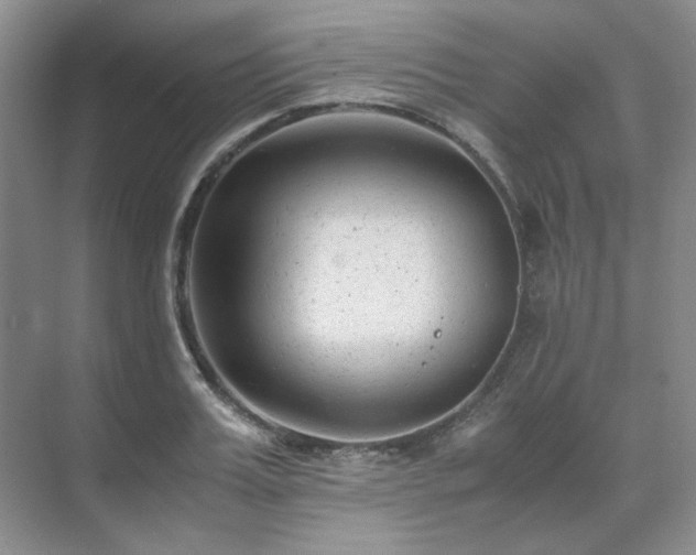 X0000071810987200606301222