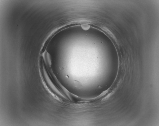 X0000071810989200606301222