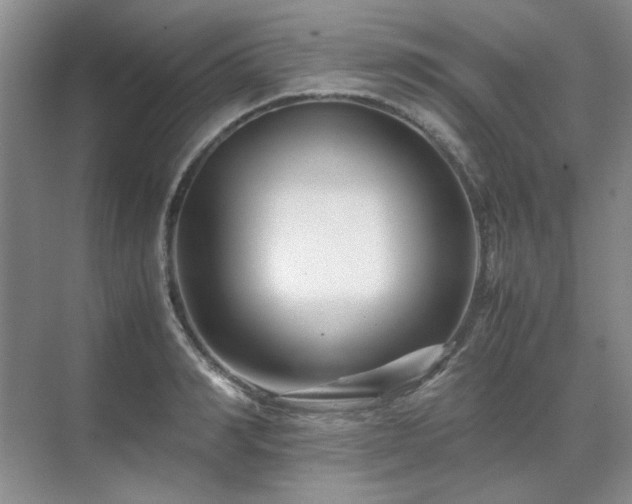 X0000071810990200606301222