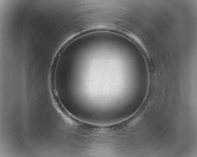 X0000071810991200606301222