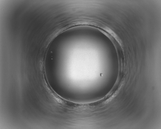 X0000071810993200606301222