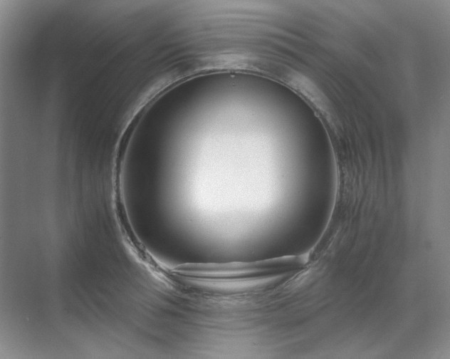 X0000071810994200606301222