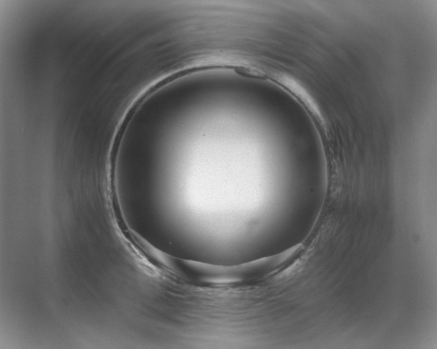 X0000071810996200606301222