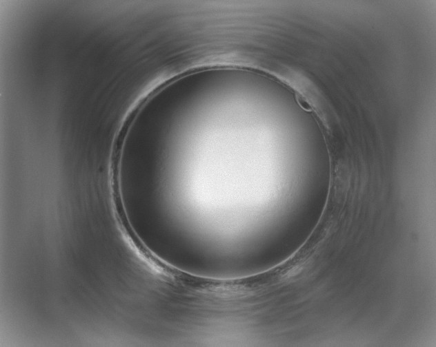 X0000071810998200606301222