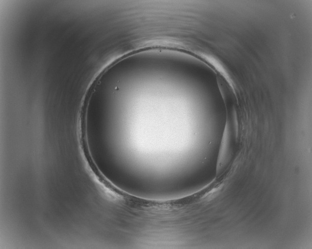 X0000071810999200606301222