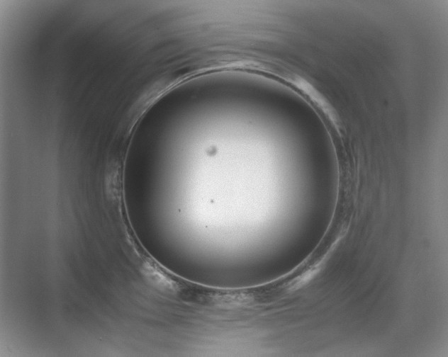 X0000071811001200606301222