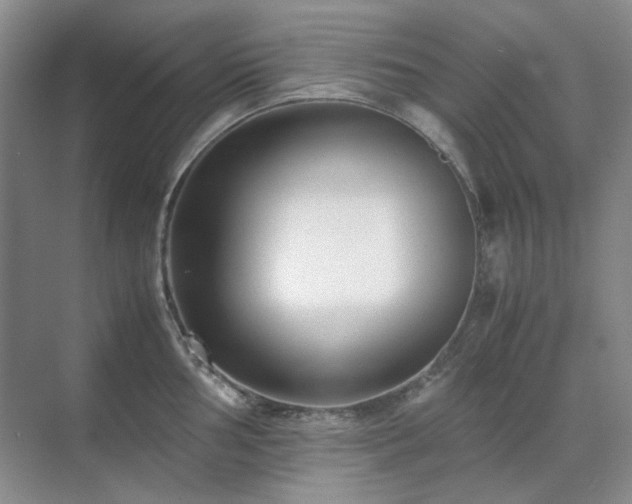 X0000071811002200606301222