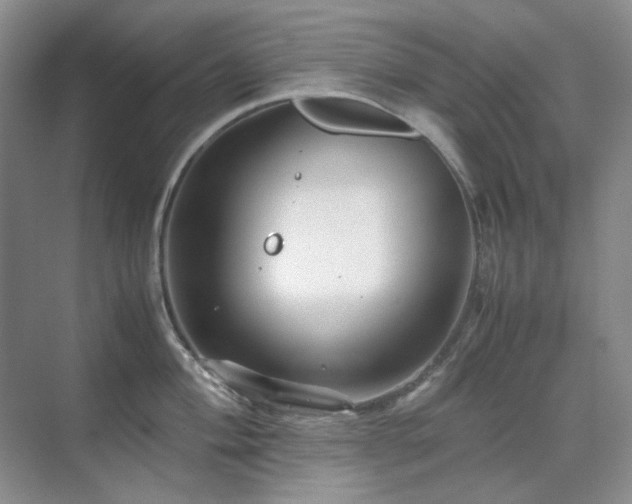 X0000071811004200606301222