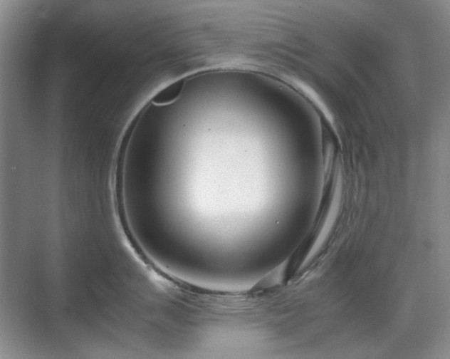 X0000071811007200606301222