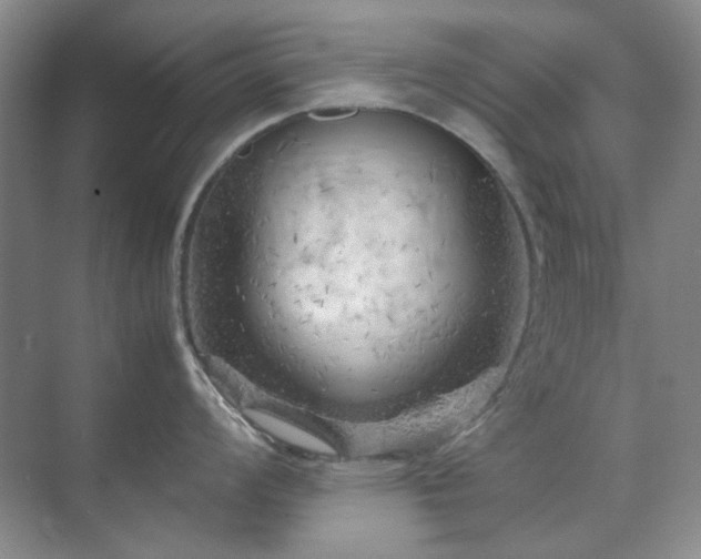 X0000071811008200606301222