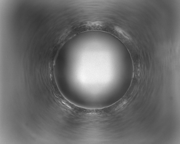 X0000071811010200606301221