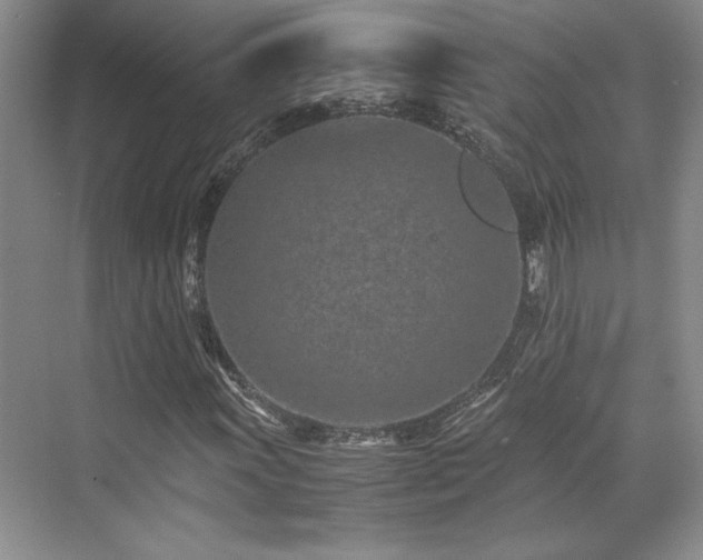 X0000071811011200606301221