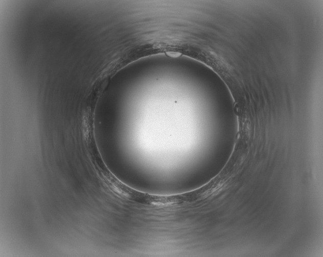 X0000071811012200606301221