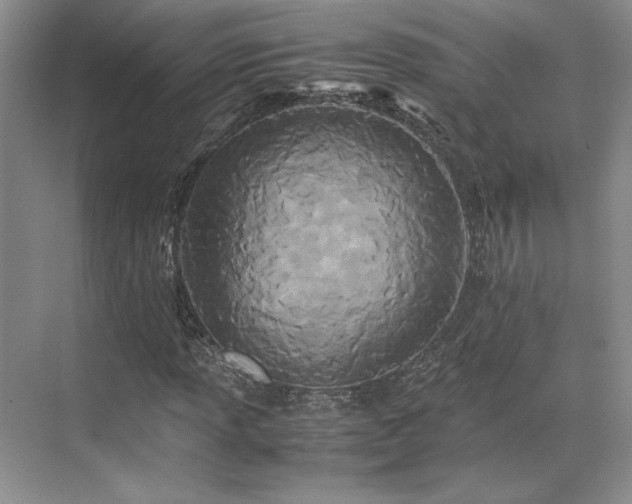X0000071811013200606301221
