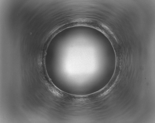 X0000071811017200606301221
