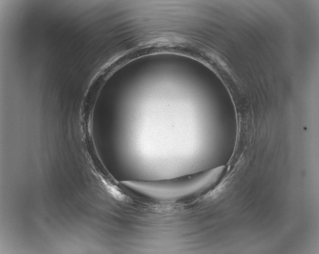 X0000071811018200606301221