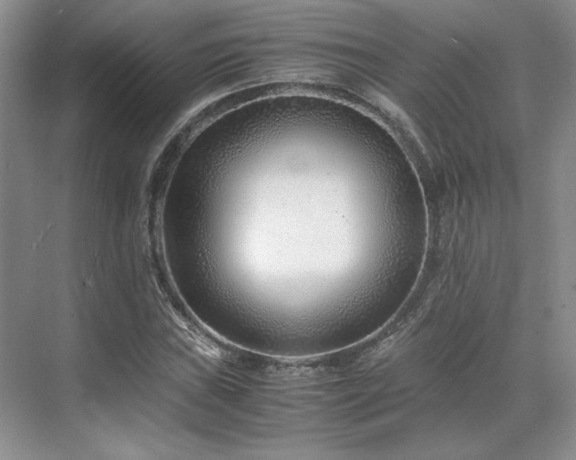 X0000071811019200606301221
