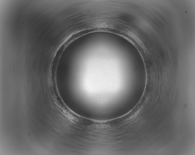 X0000071811023200606301221
