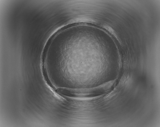 X0000071811024200606301221