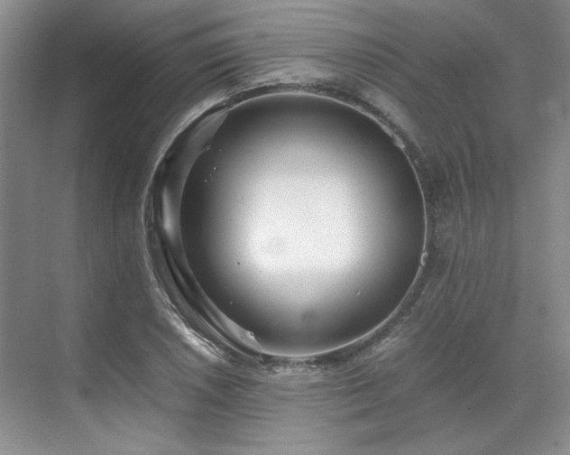 X0000071811026200606301221