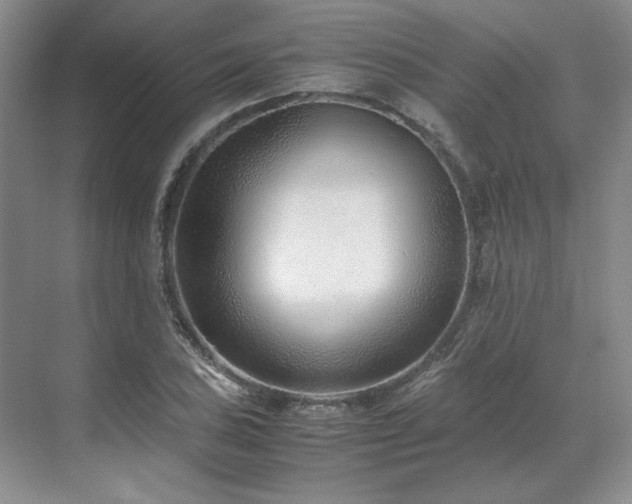 X0000071811027200606301221