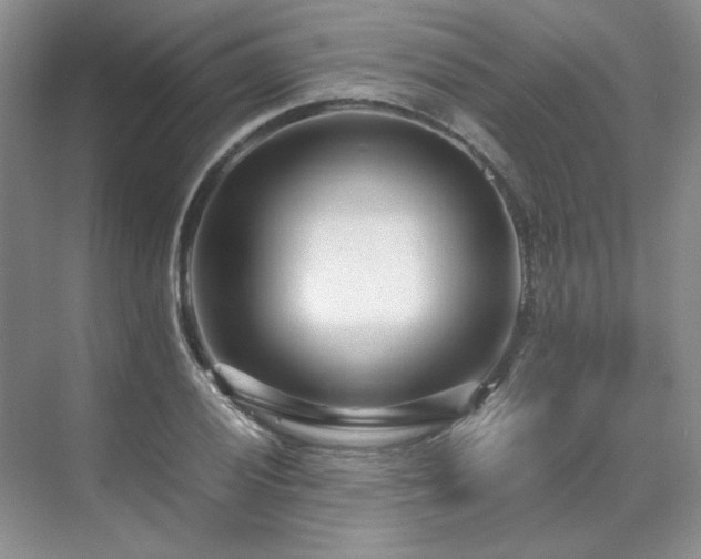 X0000071811028200606301221
