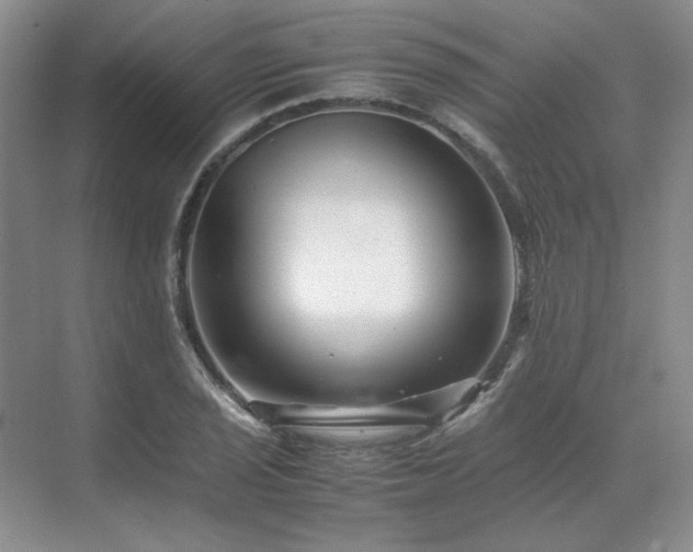 X0000071811029200606301221