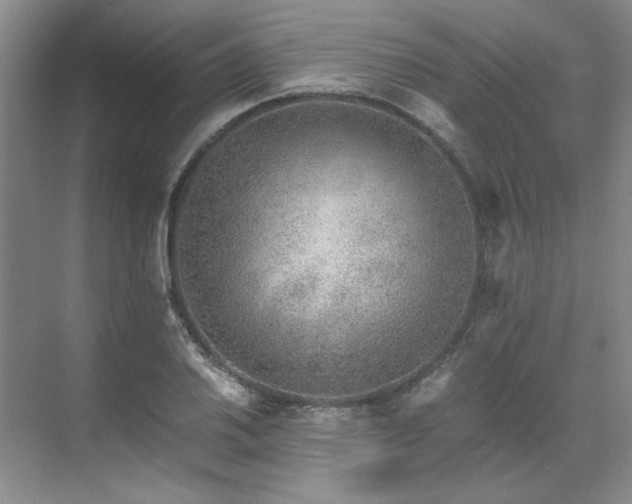 X0000071811030200606301221
