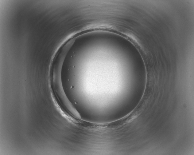 X0000071811038200606301222