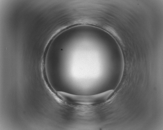 X0000071811040200606301222