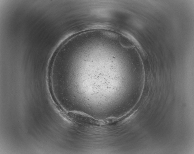 X0000071811043200606301222