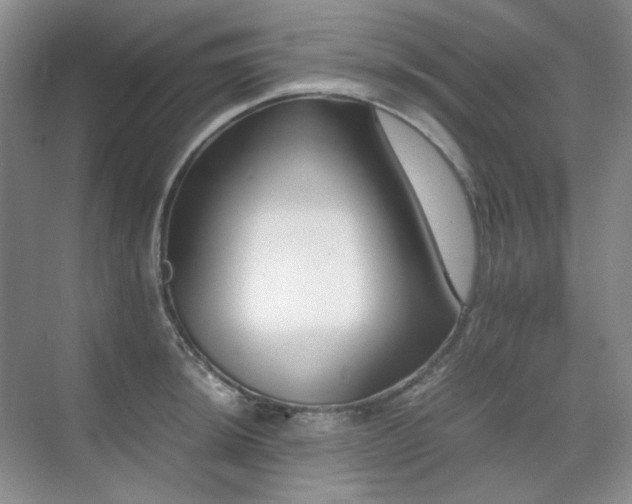 X0000071811044200606301222