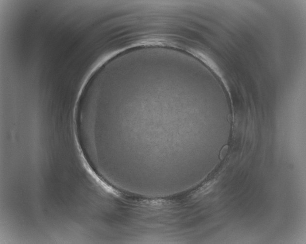 X0000071811045200606301222