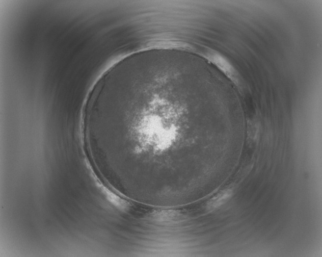 X0000071811046200606301222