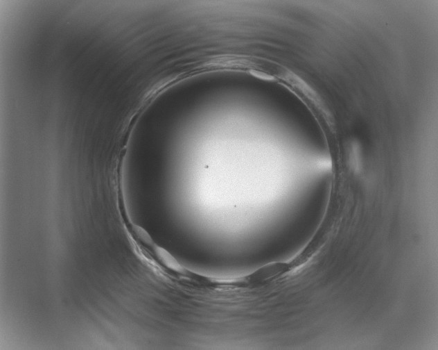 X0000071811049200606301222