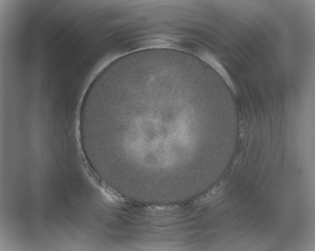 X0000071811051200606301222