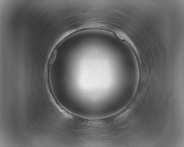 X0000071811053200606301222