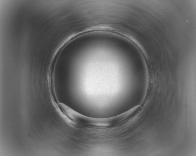 X0000071811054200606301222