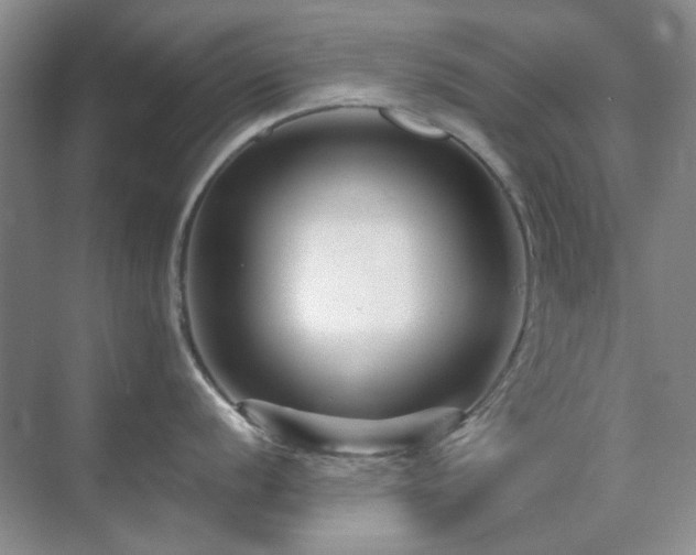 X0000071811056200606301222