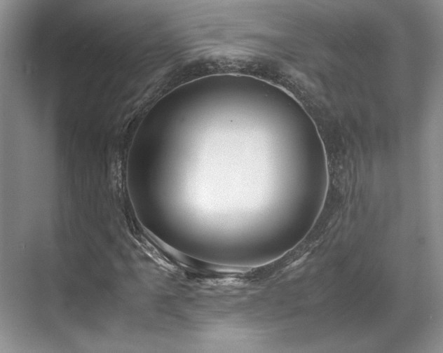 X0000071811061200606301221