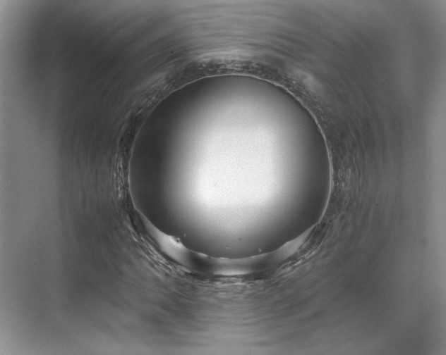 X0000071811062200606301221